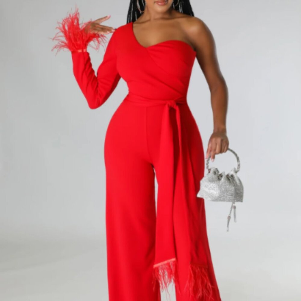 Feather Embellished One Shoulder Jumpsuit